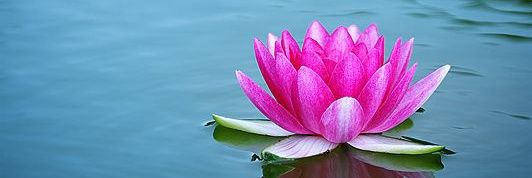 Meri_Abhilasha's profile banner image
