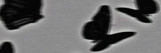 HanifeDrk's profile banner image