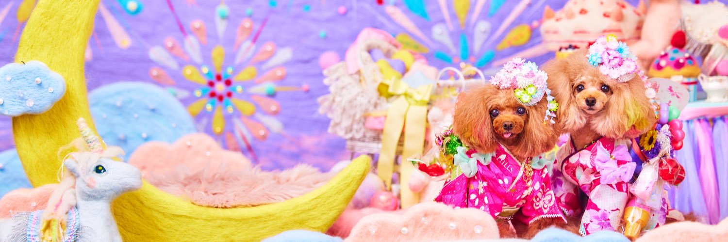 Ma2nika's profile banner image