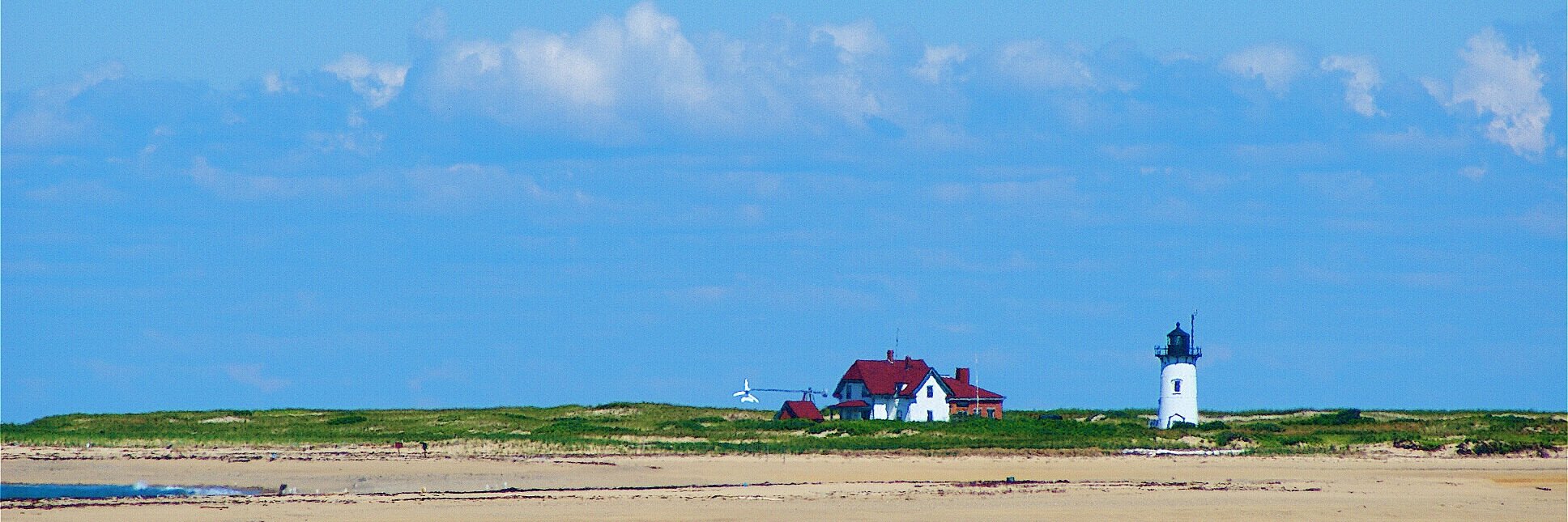 David Allen Ibsen banner