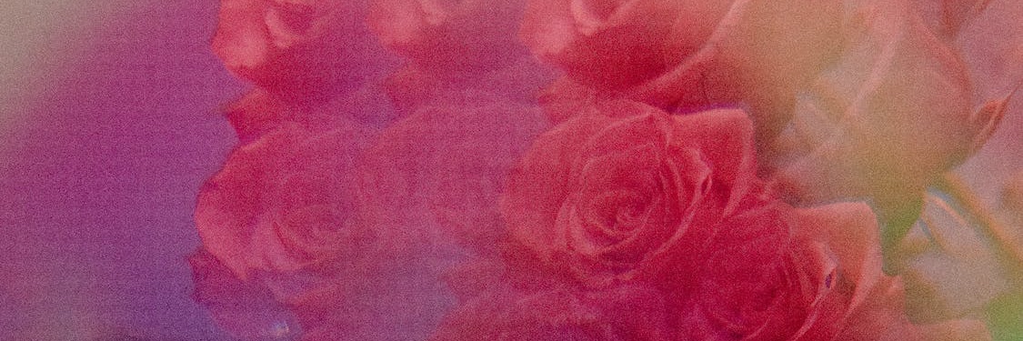 higherhighs_'s profile banner image