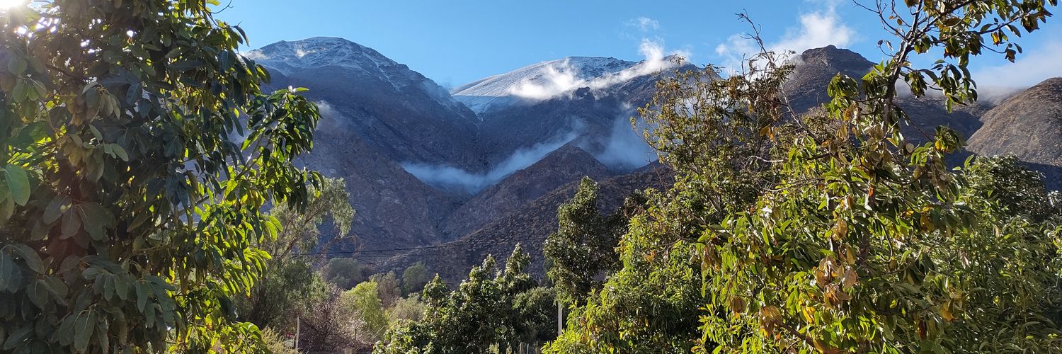 Osvaldo Vallejo banner