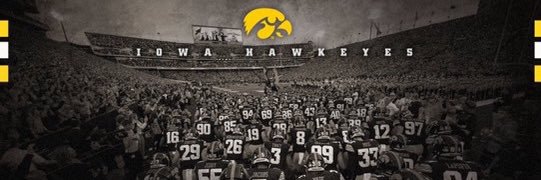 Sergi the Hawk banner