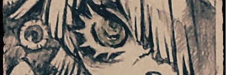ぽんきちぃ's banner