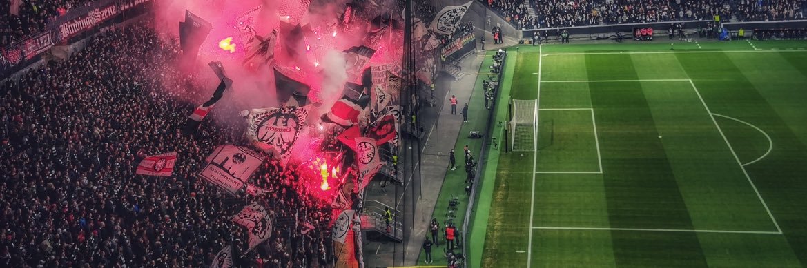 🦅🇵🇸 banner