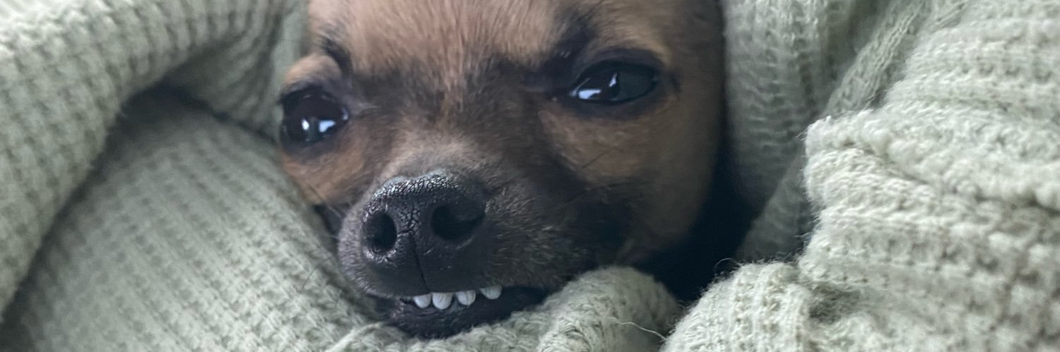 emmageebee_'s profile banner image