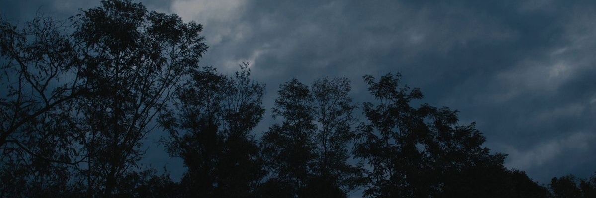 آبو مـحسـن آلقائد's banner