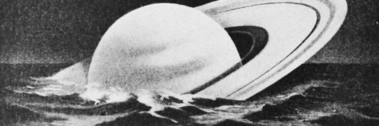 Fish banner