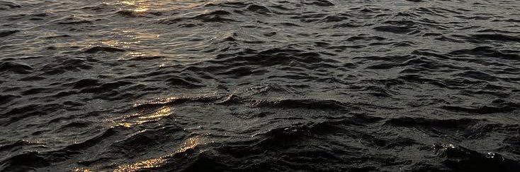 pporappippamp3's profile banner image