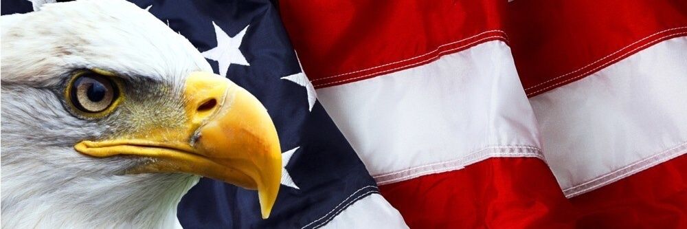 ꜱʜᴀᴅᴏᴡᴇᴅ ꜱᴇɴᴛɪɴᴇʟ banner