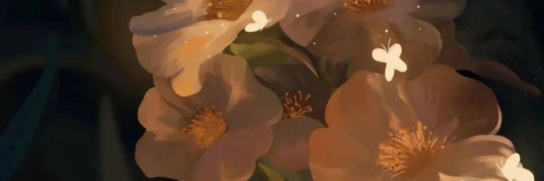 Beulla Arevalo꧁IP꧂ banner