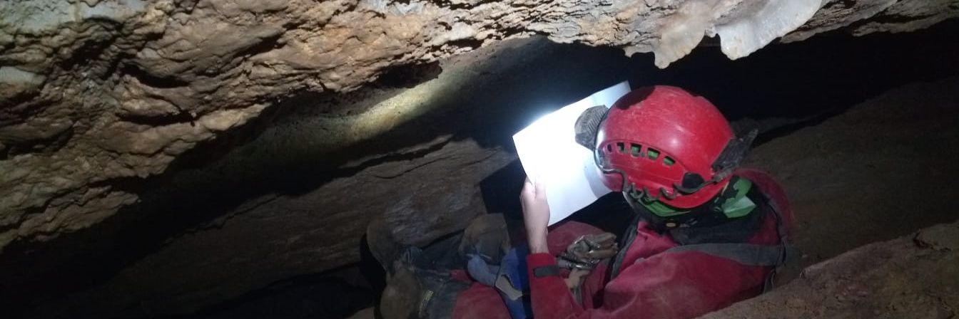 Alejandro Suarez banner