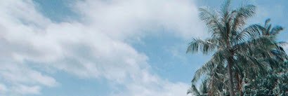 Crista Lapointe ❤️ Memecoin banner