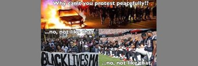 Cindy Campbell banner