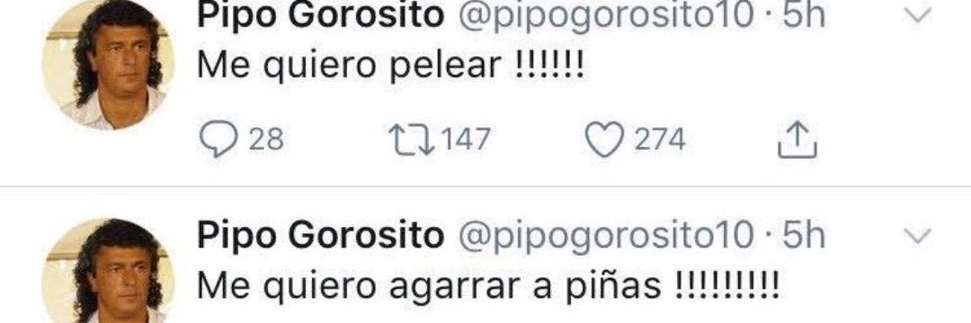 Caro Pacheco banner