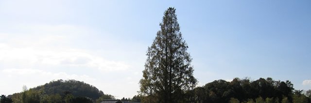 jintacu9's profile banner image
