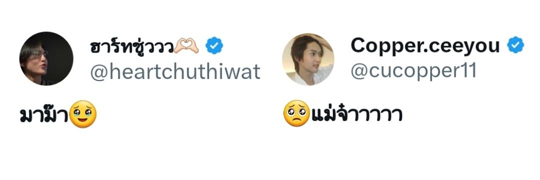 𝒫𝓇𝒾𝓂𝓇𝑜𝓈𝑒🌿 banner