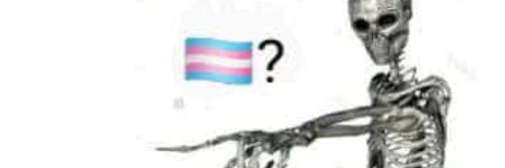 🍉 Sunny 🍉 banner