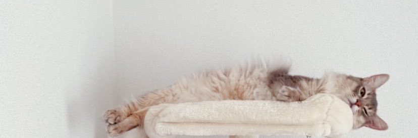 沢口かなみ banner