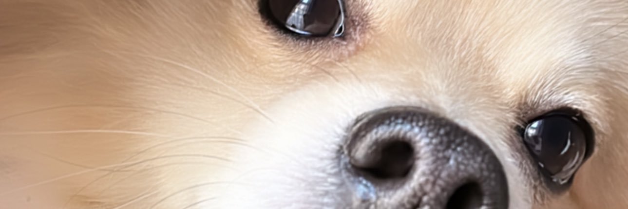 _dianamdzz's profile banner image