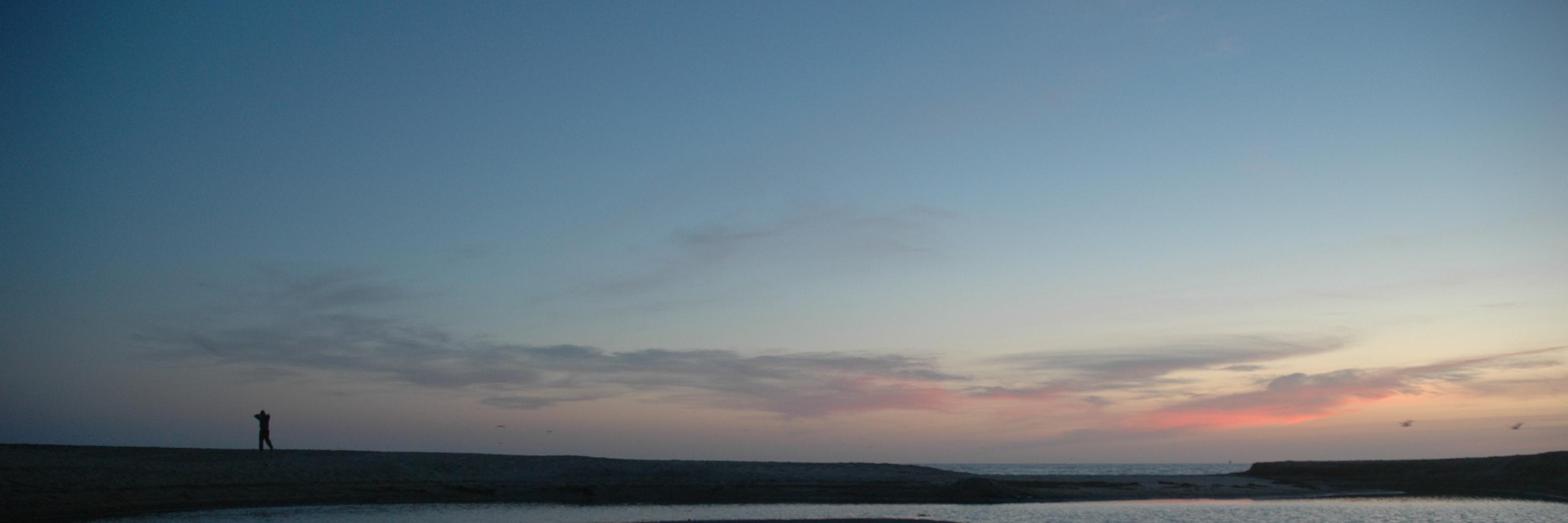 Omid Toloui banner
