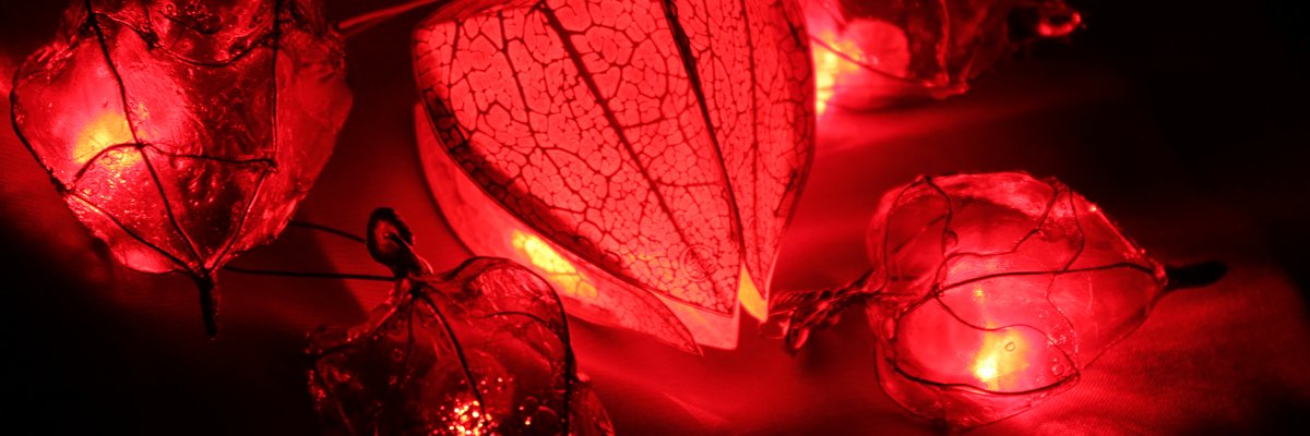 leithbhrogan's profile banner image