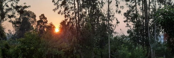 Coltieno Profile Banner