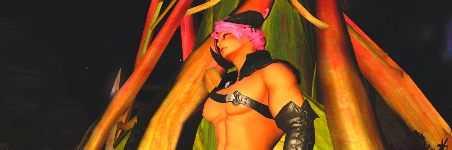 RoyalFoxXIV's profile banner image