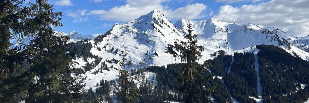 Talia | eCom Email + SMS banner