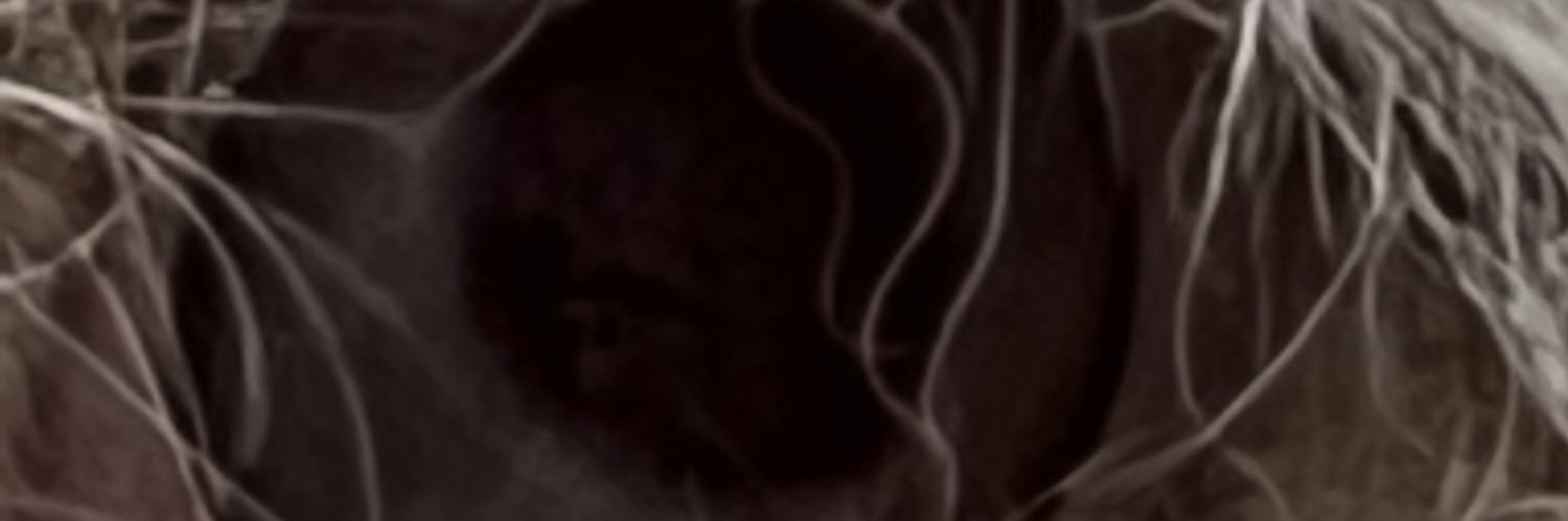 みこに banner