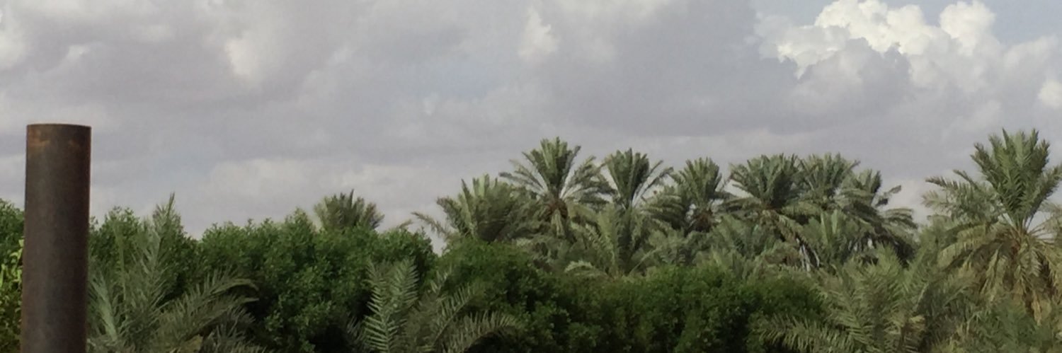 Lulu🇸🇦🇸🇦 banner