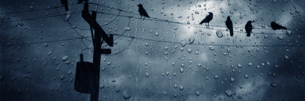 Elessarbikes Profile Banner