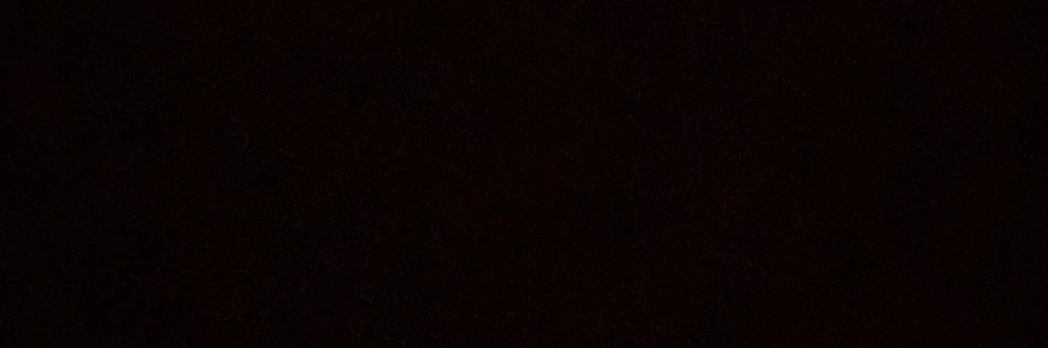 melinavargasl's profile banner image