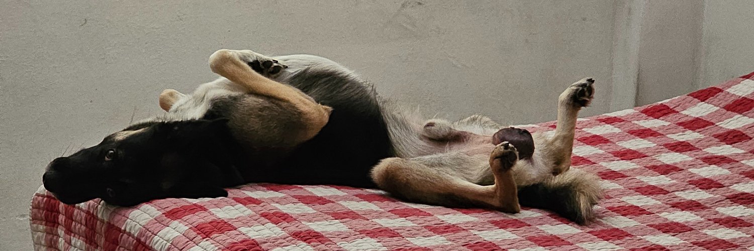 putoelquelees's profile banner image