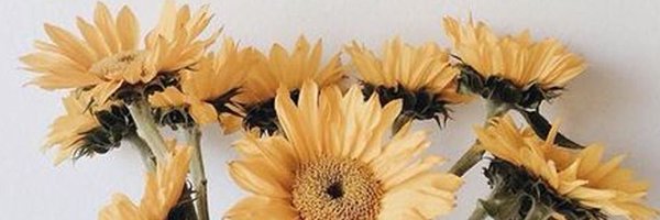 hyr_RunHappy Profile Banner