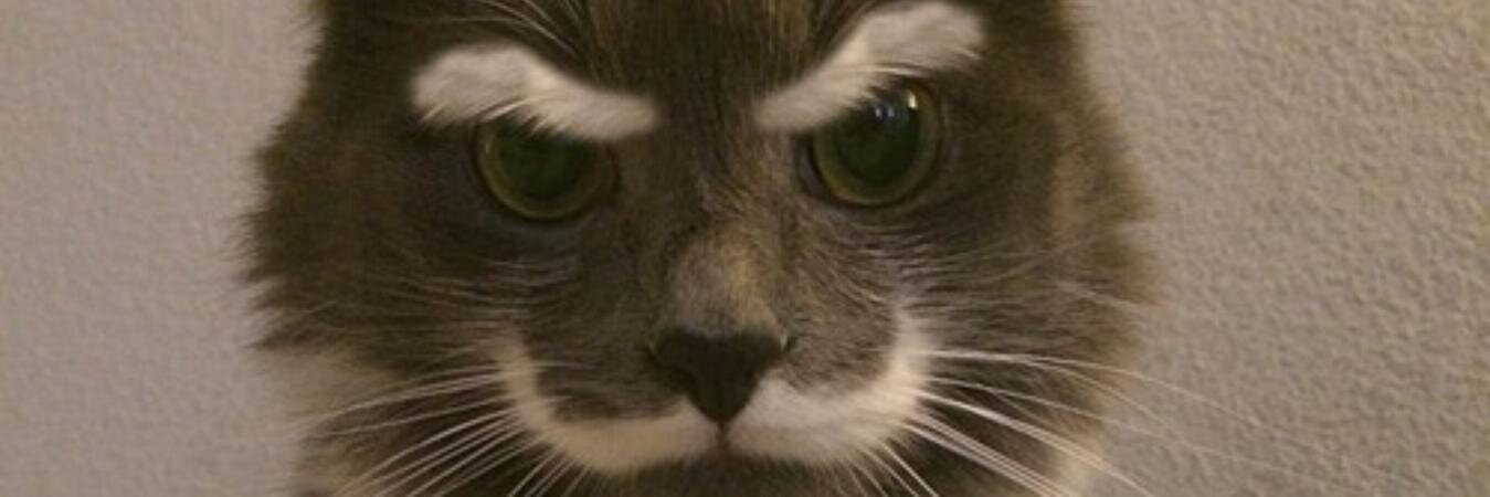HaleyBea92's profile banner image