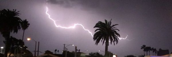 pedrothehuman Profile Banner