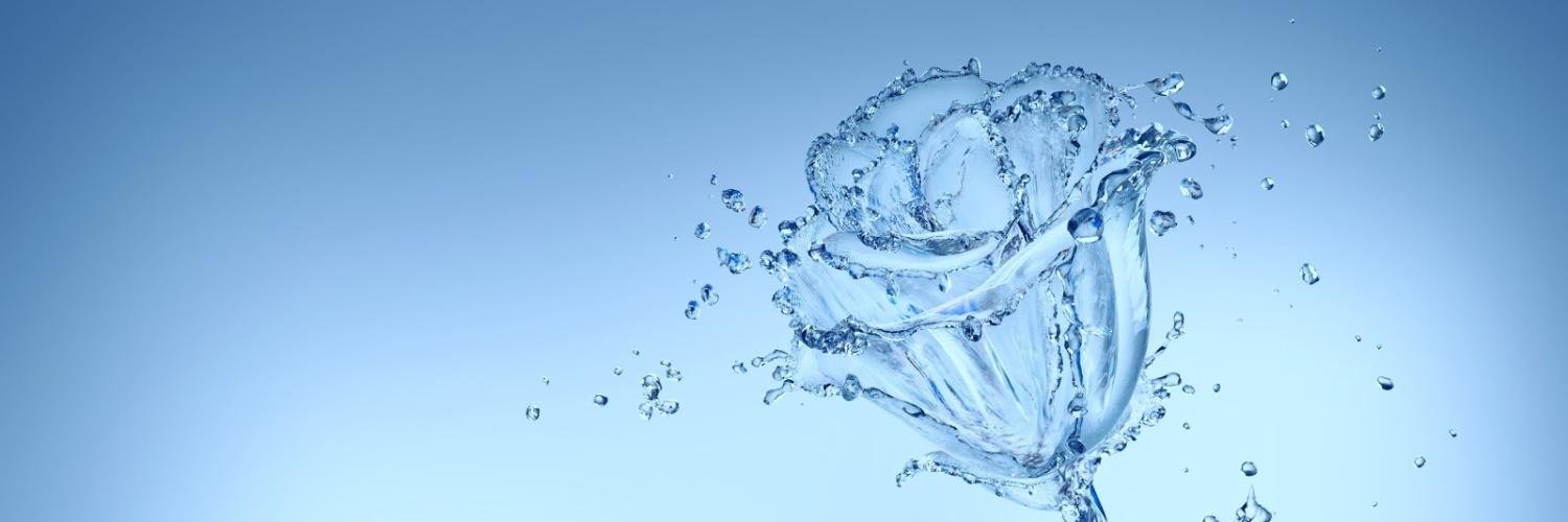 Talentnia's profile banner image