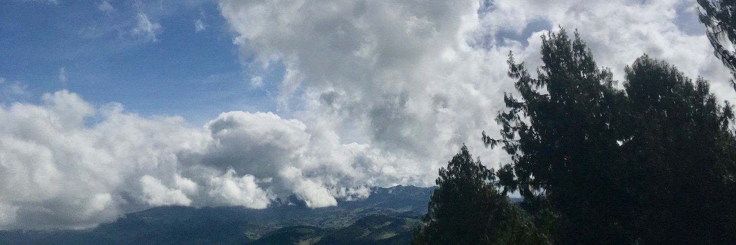 PiCaLla's profile banner image