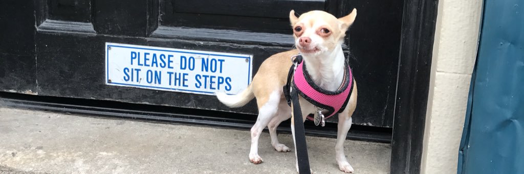 ohheyannie's profile banner image