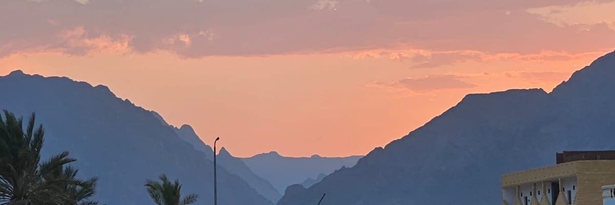JackiiD's profile banner image