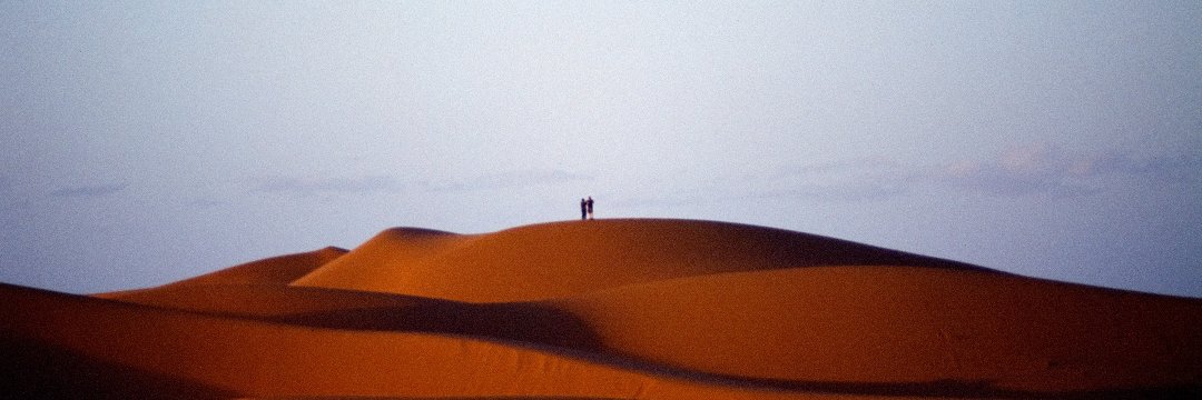 Peter Fitzpatrick banner