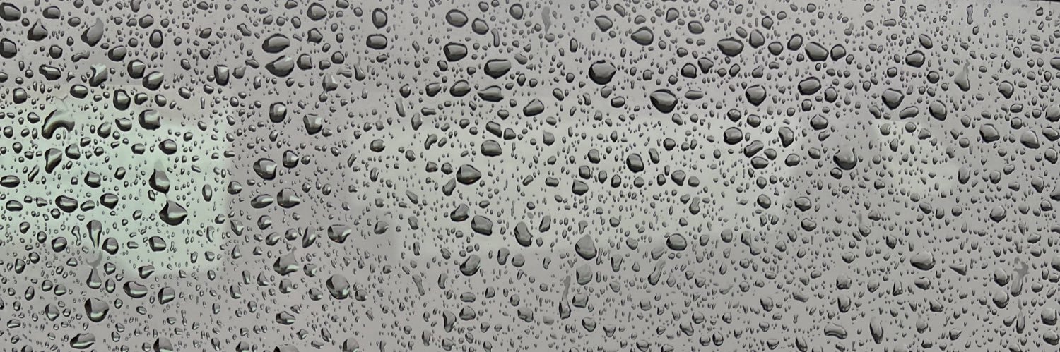 Vicki Bosanko banner