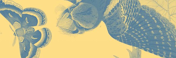 tdylon_jones Profile Banner