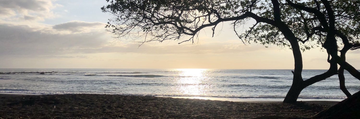 Ancismo's profile banner image