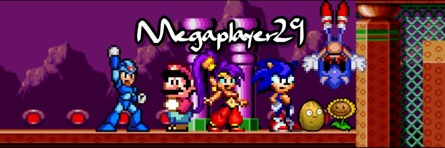 Megaplayer the hedgehog29 banner