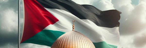 mohhamdyEg Profile Banner