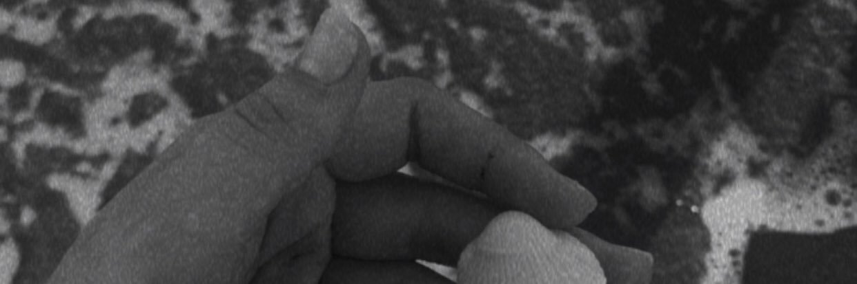 beyyzaa54's profile banner image