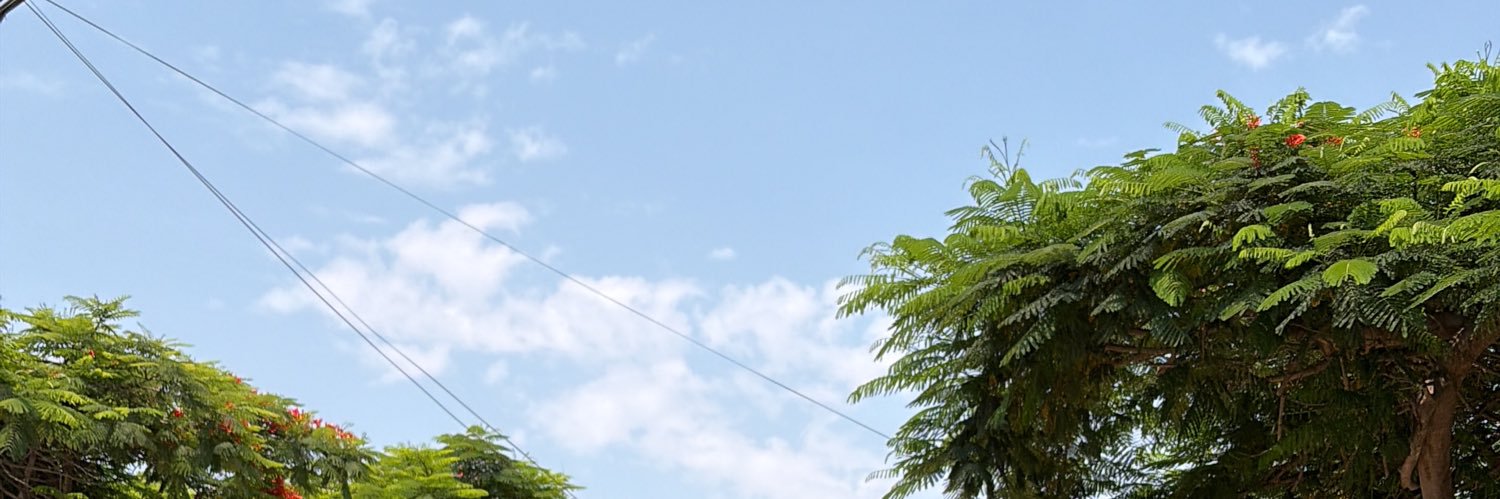 Dary444 banner