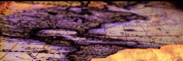 ewillmeredith's profile banner image